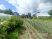 Дом Вязниковский район . Фото 4