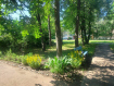 1-комнатная квартира, улица Гоголя, 23. Фото 16