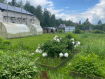 Дом городской округ Владимир Октябрьский район. Фото 24