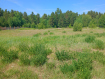 Дом Баргузинский район . Фото 4