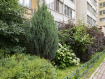 2-комнатная квартира, Большая Комитетская улица, 26. Фото 38