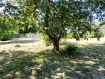 Участок городской округ Калининград Ленинградский район. Фото 7