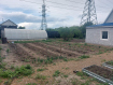 Дом Ангарский городской округ микрорайон Майск. Фото 15