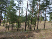 Участок городской округ Улан-Удэ Октябрьский район. Фото 2