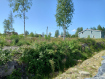 Участок Прионежский район . Фото 4