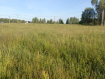 Участок городской округ Калуга . Фото 4