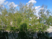 1-комнатная квартира, улица Лопатина, 19. Фото 11