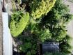 1-комнатная квартира, улица Согласия, 10. Фото 20