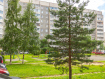 1-комнатная квартира, Лососинское шоссе, 22к2. Фото 24