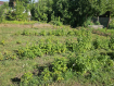 Участок Арсеньевский городской округ . Фото 19