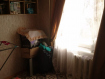 3-комнатная квартира, улица Баранова, 81. Фото 2