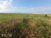 Участок городской округ Элиста Южный район. Фото 2