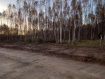 Участок Рыбинский район . Фото 5