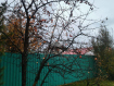 Дом Новосибирский район жилмассив Ключевой. Фото 94