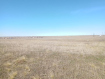 Участок городской округ Элиста Северо-Западный район. Фото 7