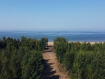 Участок Рыбинский район . Фото 3