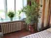 1-комнатная квартира, проспект Ветеранов, 151к1. Фото 1